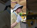 【きいろばっち】みんなで さつまいものなえをうえたよ!!\(^o^)/