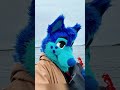 Me and dasher from when we start to now #music #furry #photography