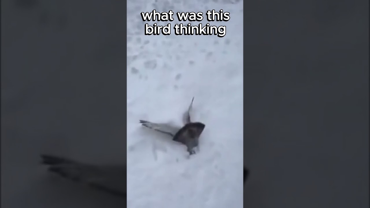 Directional challenge overload