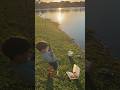 Catching invasive freshwater fish in Miami, Florid.  blue tilapia