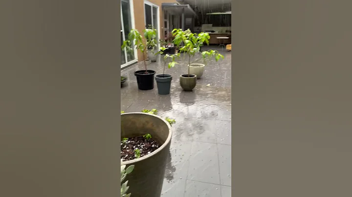Massive hailstorm- size of golf ball - #hail #hailstorm - Australian backyard #澳洲冰雹 #澳洲生活