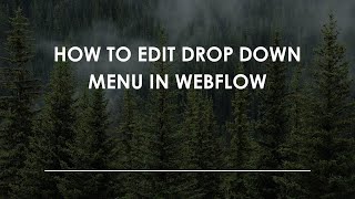 How To Edit Drop Down Menu in Webflow