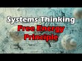 Systems thinking  free energy principle  10 ways to train your brain