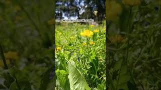 Sımsıkı Sarılın