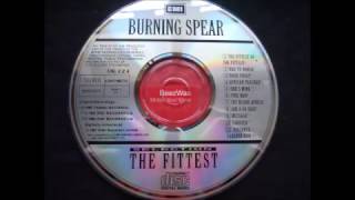 Burning Spear    Cry Blood Africa