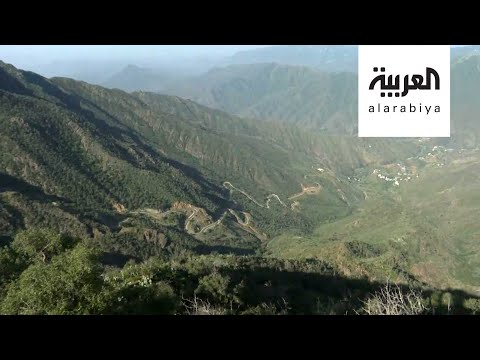 صباح العربية مئات أنواع النباتات في محمية ريدة أشهر وأكبر محميات السودة