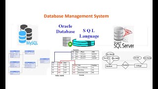 Video Lecture 8 Database SQL DDL Commands Create, PRIMARY KEY FOREIGN KEY CONSTRAINT