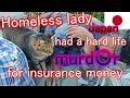 Homeless lady with her pet cat her husband got ked by  landlord documentary in asakusa tokyo