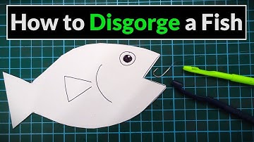 How to Use a Disgorger & Unhook a Fish - Angling for Beginners