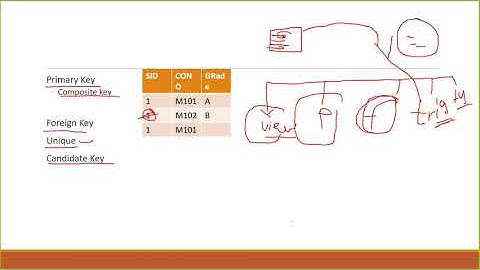 Part 23 SQL Server in Amharic Crash Course Alter and drop Views