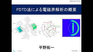Overview of electromagnetic field analysis using the FDTD method
