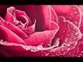 Jati Bhijun Jevha !!! Marathi.wmv Whatsapp Status Video Download Free