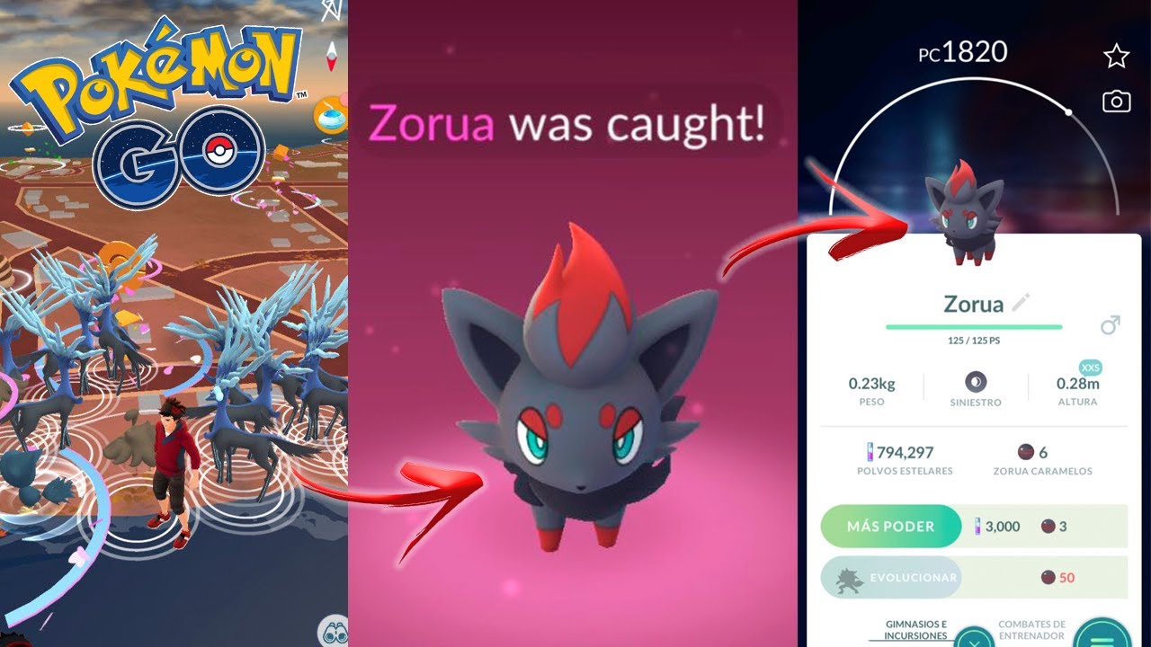 Zoroark Pokemon Gen5 GO Pokémon Same Day Not Shiny