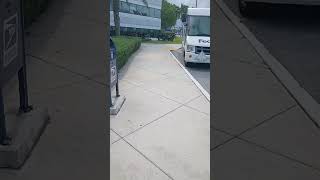 AMAZING PREHISTORIC MONSTERS