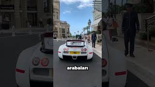 Monako Vale Park Görevlisi