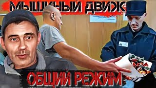 Мышиный движ / общий режим / чёрт,,закатай вату,,