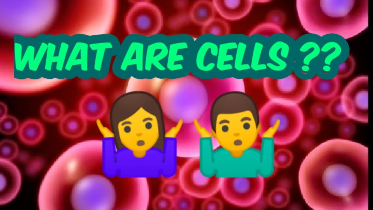 What are Cells in Hindi YouTube