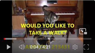 WOULD YOU LIKE TO TAKE A WALK?
AMPICO - 213431
Played by Frank Milne
Would You Like to Take a Walk? is a popular song with music by Harry Warren and lyrics by Mort Dixon and Billy Rose. It was added to the 1930 Broadway show Sweet and Low starring James Barton, Fannie Brice and George Jessel. The song was published in 1930 by Remick Music Corporation.
The song has become a pop standard, recorded by many artists including:
Rudy Vallée and His Connecticut Yankees in 1931.
Annette Hanshaw in 1931.
Roy Fox and His Band (vocal by Al Bowlly) - recorded April 21, 1931. (Al Bowlly discography)
Ella Fitzgerald and Louis Armstrong recorded the song for Decca in 1951, accompanied by the Dave Barbour Orchestra. It was later included on Ellas Decca album Ella and Her Fellas.
Jerry Vale and Peggy King - included in the album Girl Meets Boy (1955).
Pat Boone - for his album Howdy! (1956).
Bing Crosby and Rosemary Clooney recorded the song for their radio show in 1958 and it was subsequently released on the CD Bing & Rosie - The Crosby-Clooney Radio Sessions (2010).
Steve Lawrence and Eydie Gorme - included in their album Cozy (1961)
She & Him - included in the album Classics (2014).
It plays in the 1939 Porky Pig cartoon Naughty Neighbors and the 1942 Daffy Duck cartoon The Daffy Duckaroo. It also can be heard in the background of 1945s State Fair. WOULD YOU LIKE TO TAKE A WALK?
