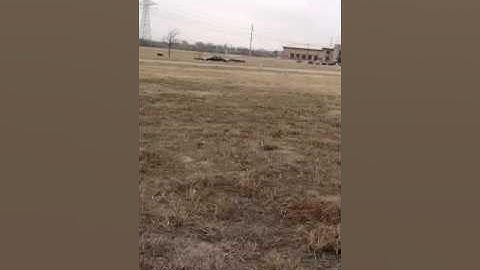 Wild Will Firebird Commander Flight