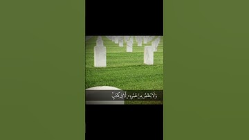 سورة فاطر من اية ١١ #اسلام_صبحي #اكسبلور #اسلاميات #السعودية #ترند #قرآن #راحة_نفسية #قرآن_بصوت_رائع