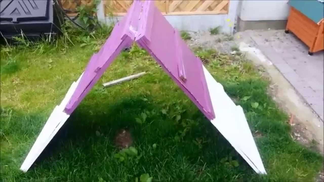 DIY: How to Make Your Own Dog Agility Course - Petful