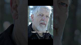 Dexter is rusty. #clips #video #shorts