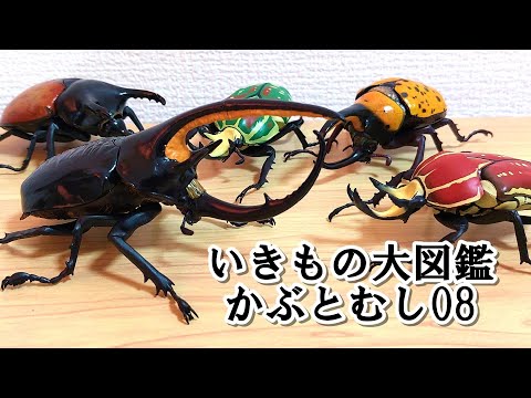 いきもの大図鑑 かぶとむし 専用スタンド 翅付き ガチャガチャ フィギュア いきもの大図鑑 かぶとむし 専用スタンド 翅付き ガチャガチャ