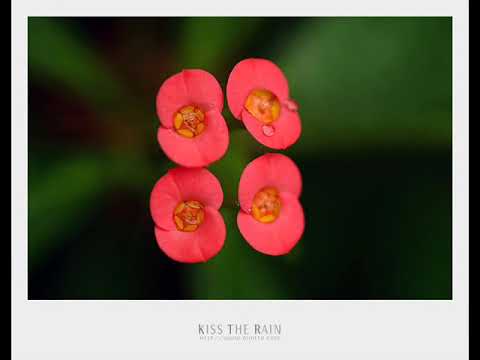 Kiss the Rain - Yiruma