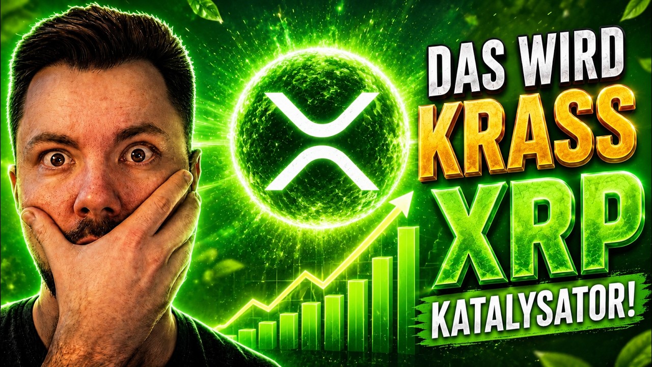 XRP KATALYSATOR - Das EINZIGE Video das Du kennen musst!