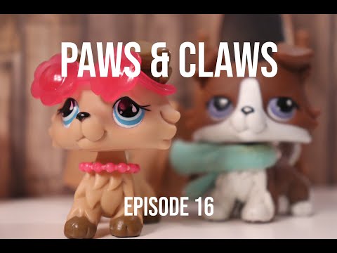 Video: Minecraft Käynnisti Paws And Claws -pukupaketin Kerätäkseen Rahaa World Wildlife Fund -rahastoon