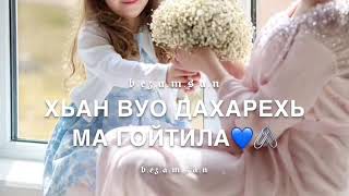 Сафия жима к1орни❤