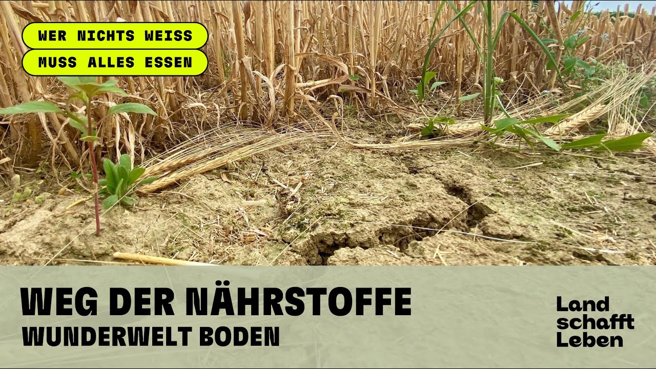 Nhrstoffe - Boden, Dngen, Kreislufe, Sackgassen