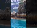 Orkid &amp; Trainer Caitlin - June 3, 2023 - SeaWorld San Diego