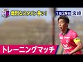 【トレーニングマッチ vsツエーゲン金沢】2023.01.29 宮崎キャンプレポート8日目