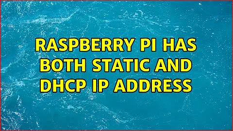 Raspberry pi has both static and dhcp ip address (4 Solutions!!)