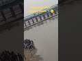 banganga dam dolphin death🐬😔