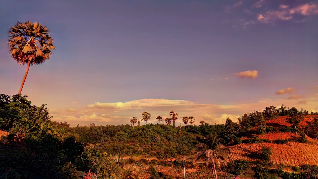 Scenic spot at Lalmai Pahar,Comilla #hills #beautiful #love #srk #nature #global #natural #trending