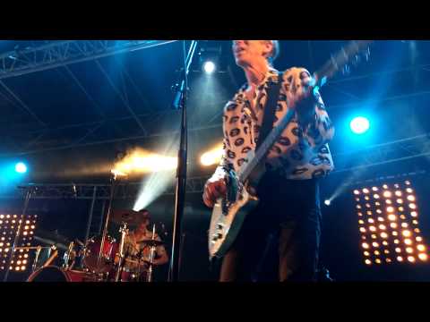 THE FLESHTONES -