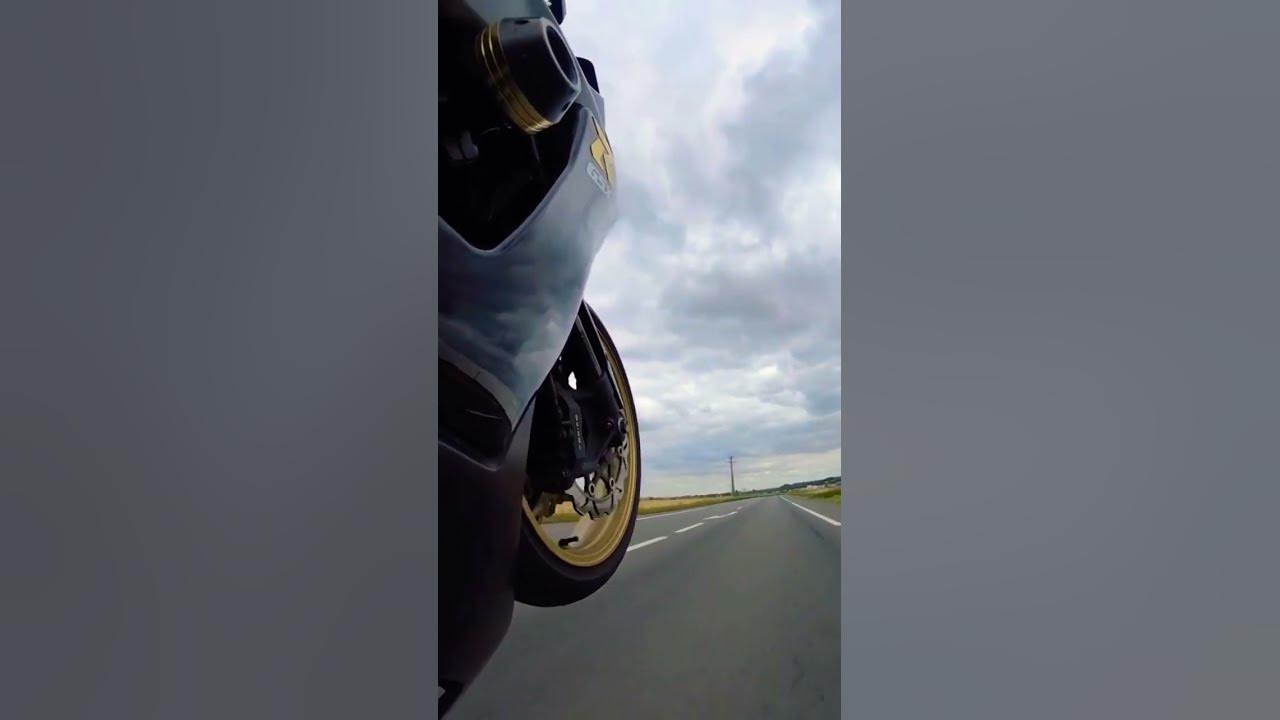 Wheelie Pig shorts bike wheeling YouTube