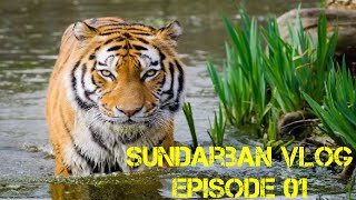 ঢাকা থেকে সুন্দরবন কিভাবে যাবেন ??? সুন্দরবন ভ্রমন খরচ ।Dhaka To Sundarban