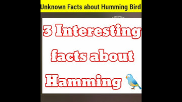3 Interesting Facts About Humming Bird #shorts #hummingbird #mrfactorent