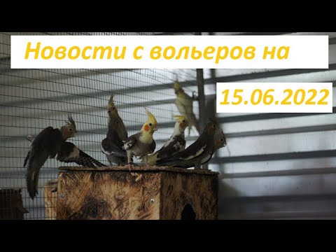 TimPtitZ: Новости с