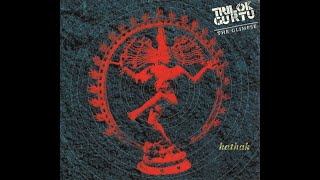 TRILOK GURTU &amp; THE GLIMPSE – 07 Brazilian