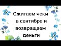 Сжигаем чеки в сентябре и возвращаем деньги. Только три дня.