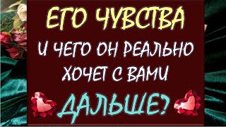 :               ?  Tarot Diamond Dream 