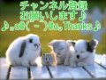 郷ひろみさんの「裸のビーナス」を歌ってみました♪