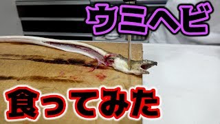 釣ったウミヘビを食べてみたら予想以上の結果に・・・