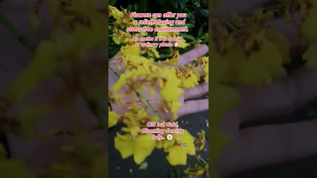 OLD BUT GOLD DANCING LADY Kath Flowers And Leaves