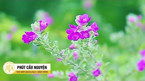 Phút Cầu Nguyện, Thứ Năm 08/09/2022: Mừng Sinh Nhật Mẹ