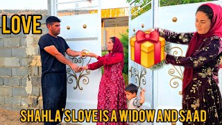 Shahla, a widow, forgiving Saad; the moment her heart broke and love was reborn🫂❤️💍✨